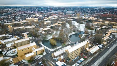 Snow on the rooftops of the iconic AU yellow-brick buildings in the Aarhus University Park Nov 2022