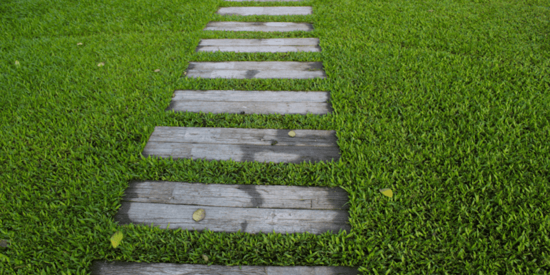 Steps in the Green land
