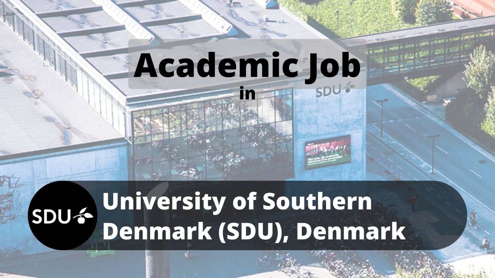Academic Job in SDU University of Southern Denmark