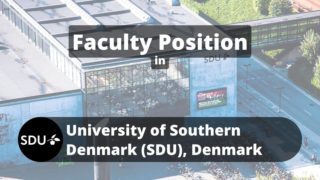 Faculty Position in SDU University of Southern Denmark'