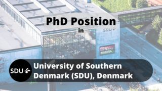 PhD Positions, Vacancies, Jobs in SDU University of Southern Denmark'