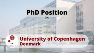 PhD Position in UCPH University of Copenhagen Denmark'