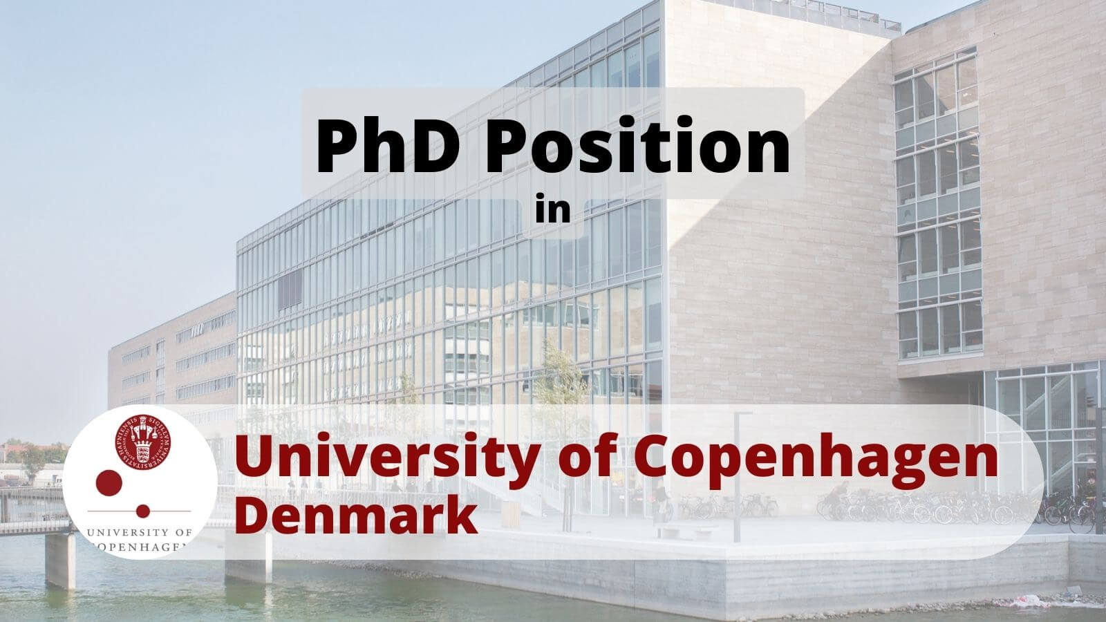 PhD Position in UCPH University of Copenhagen Denmark