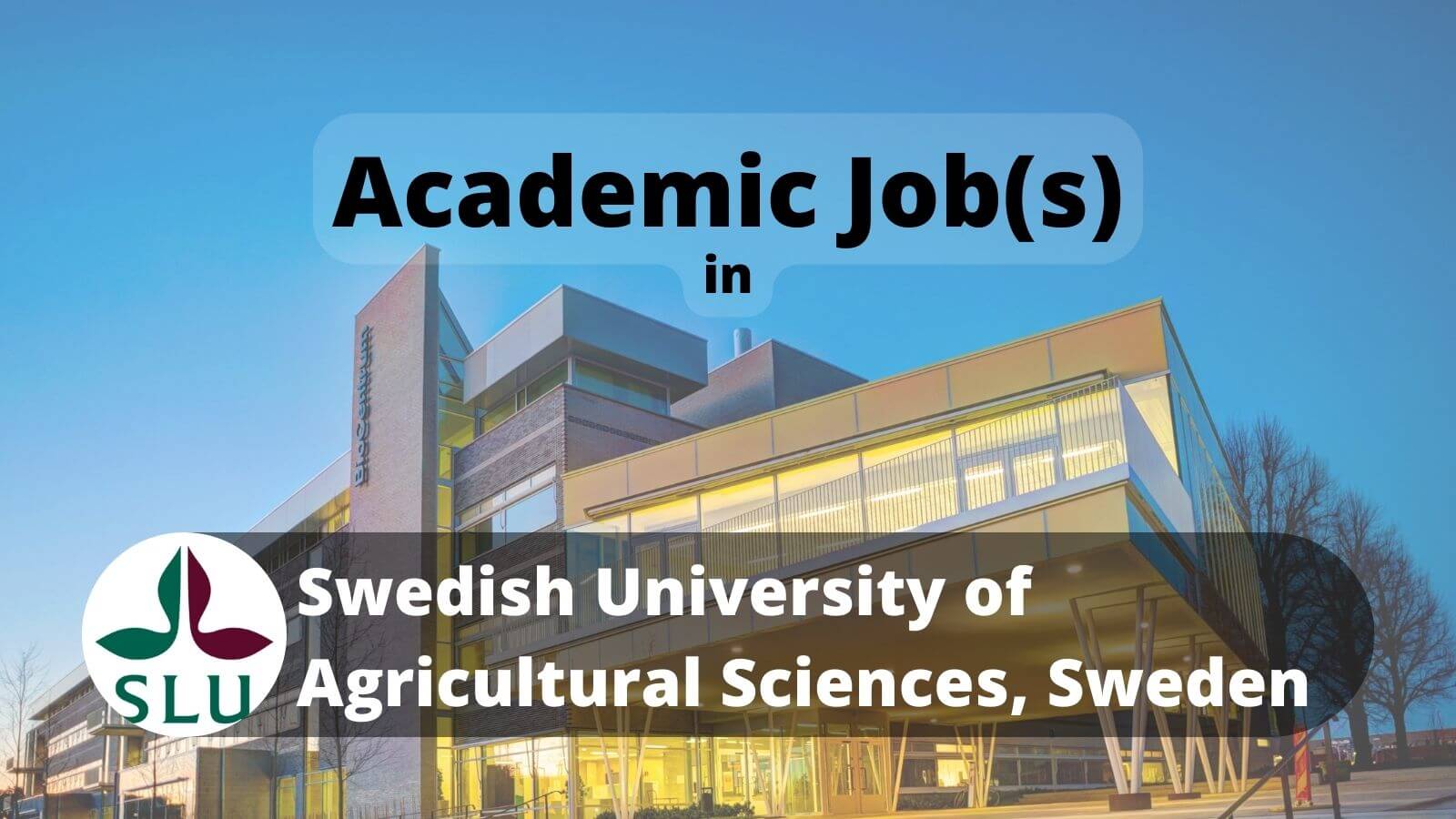 Academic Jobs in SLU, Sweden (Photo: Mark Harris)