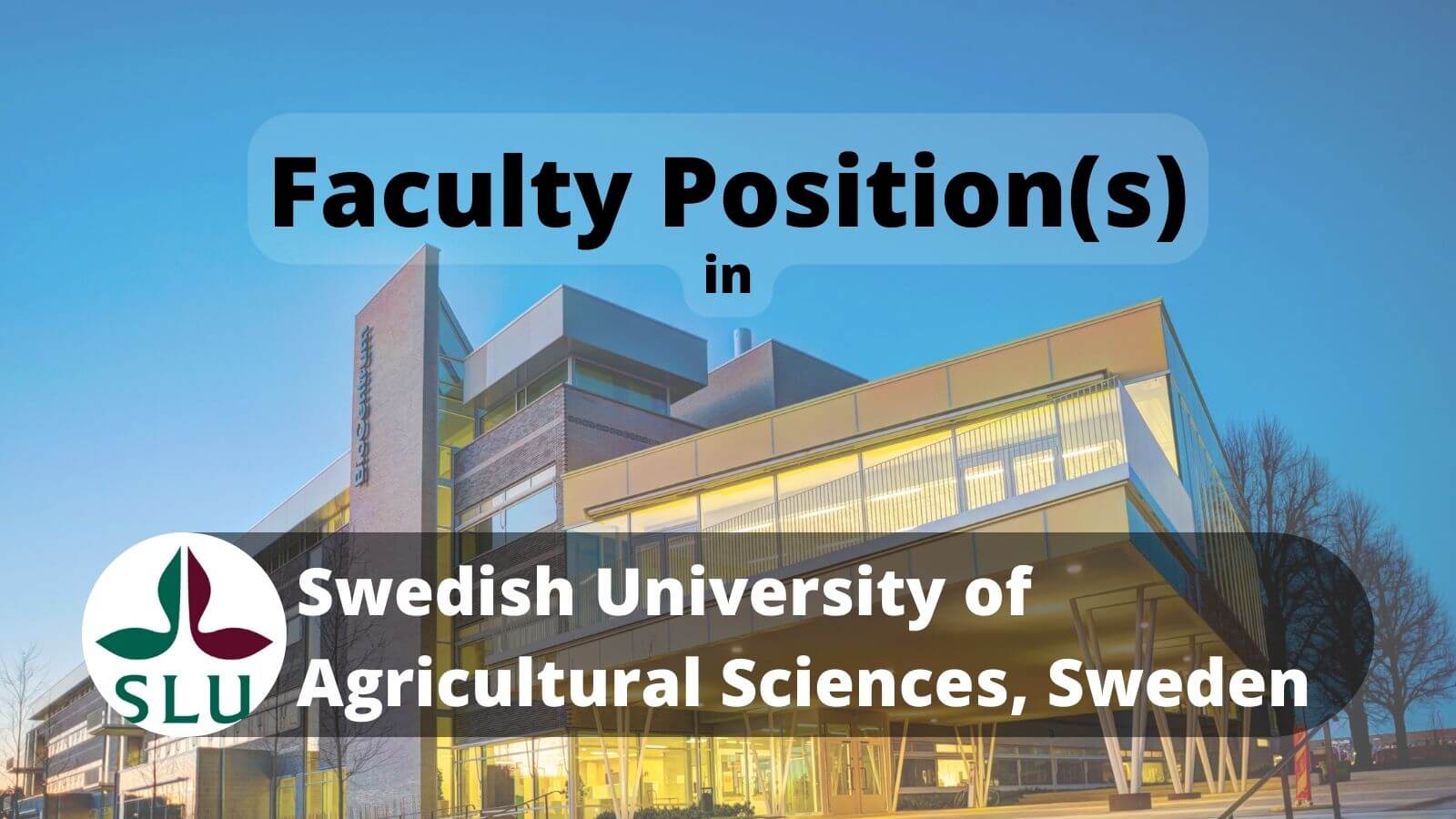 Faculty Positions in SLU, Sweden (Photo: Mark Harris)
