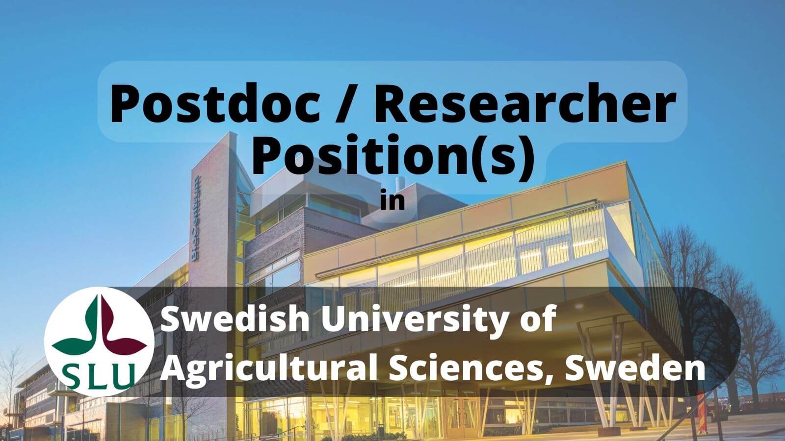 Postdoc Researcher Positions in SLU, Sweden (Photo: Mark Harris)