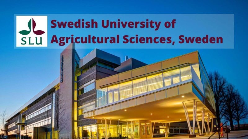 BioCentrum, Campus Ultuna, Swedish University of Agricultural Sciences - SLU Uppsala, Sweden (Photo: Mark Harris)