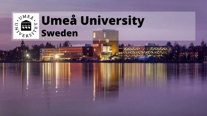 Umea University Konstnarligt campus, Sweden