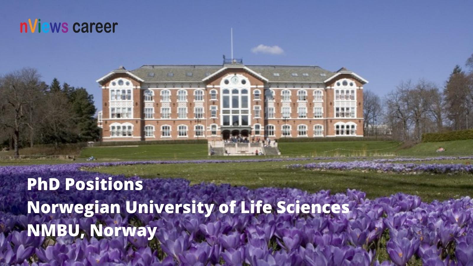 NMBU Norwegian University Life Sciences PhD Vacancies Positions- Håkon Sparre