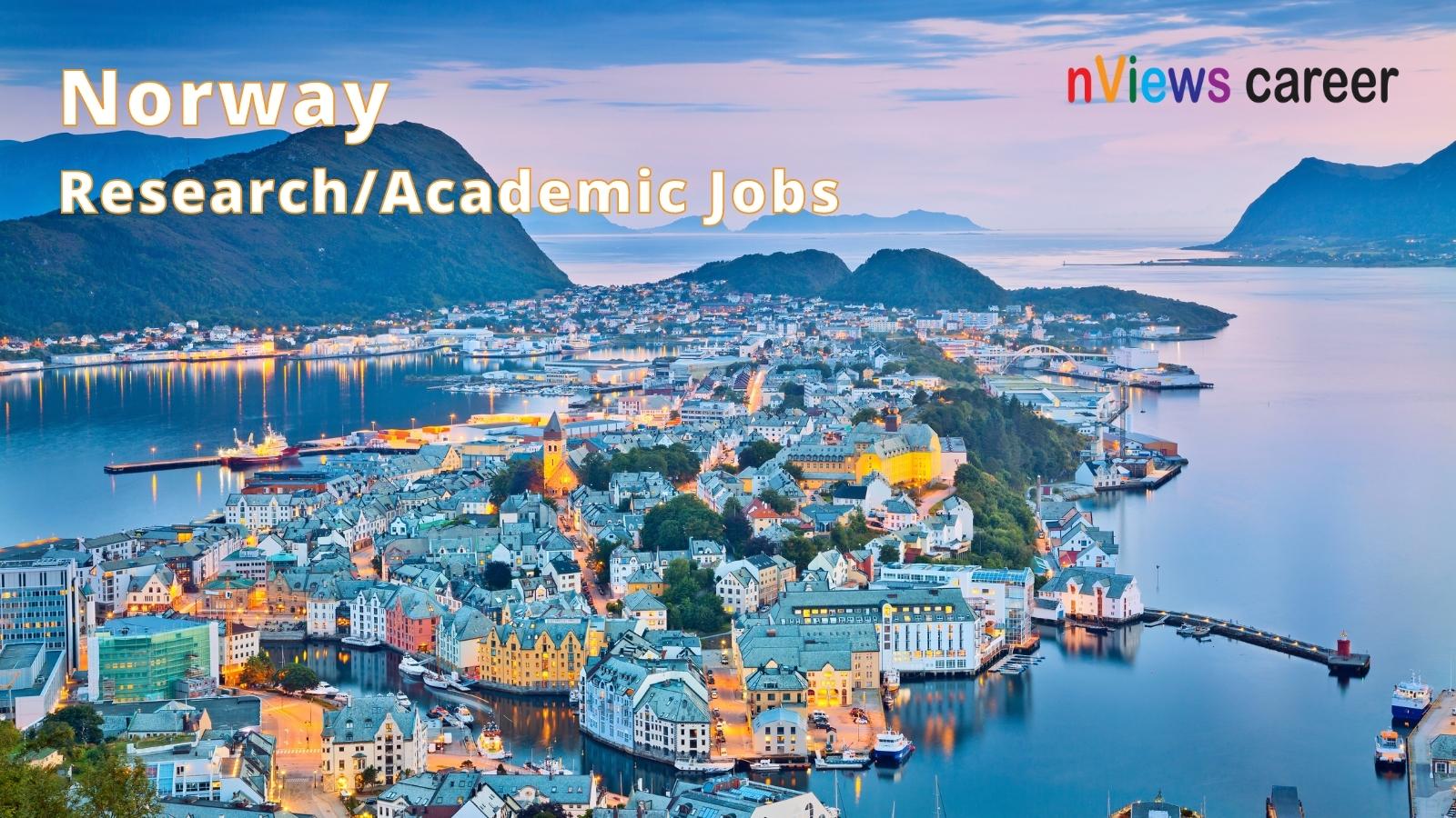 Research Academic Jobs in Norway - Background Alesund in twilight blue hour