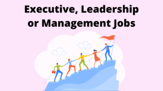 Executive, Leadership or Management Positions Jobs Vacancies at Universities'