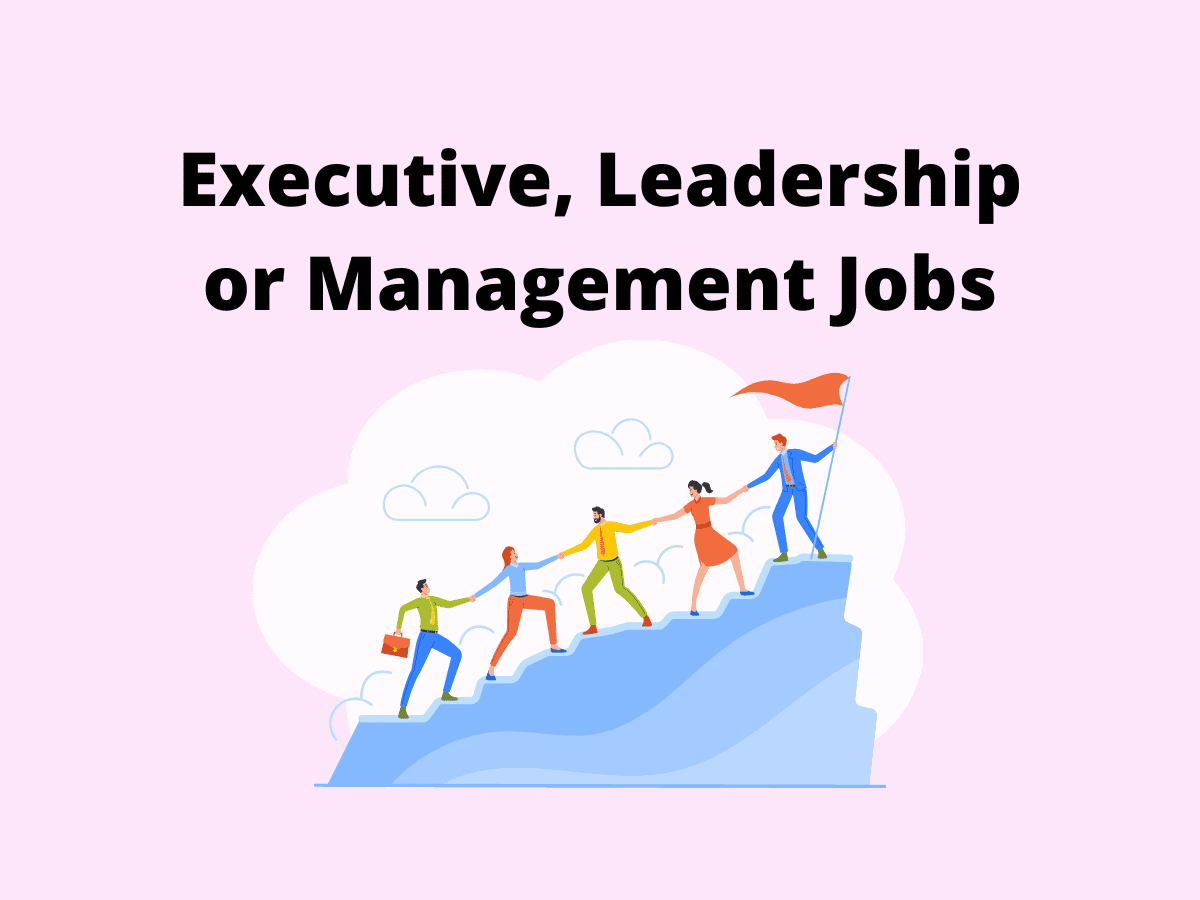 Executive, Leadership or Management Positions Jobs Vacancies at Universities