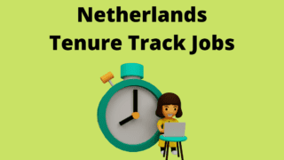 Netherlands Tenure Track Positions Jobs Vacancies'