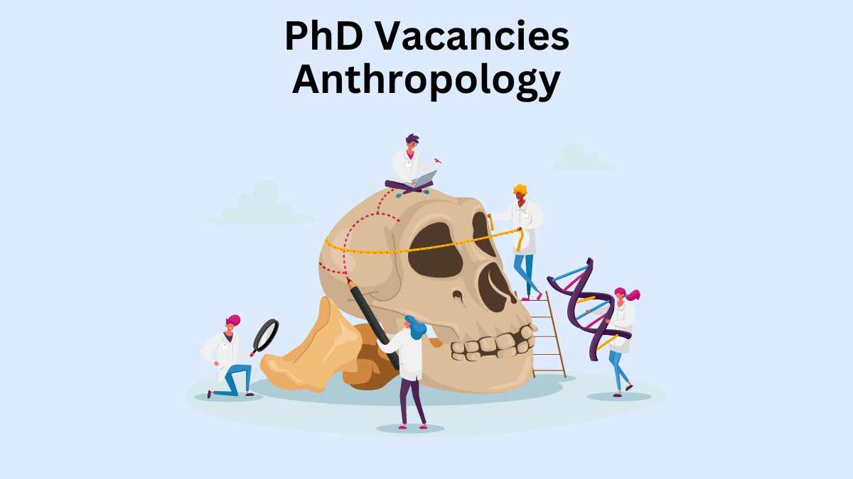 anthropology phd studentships