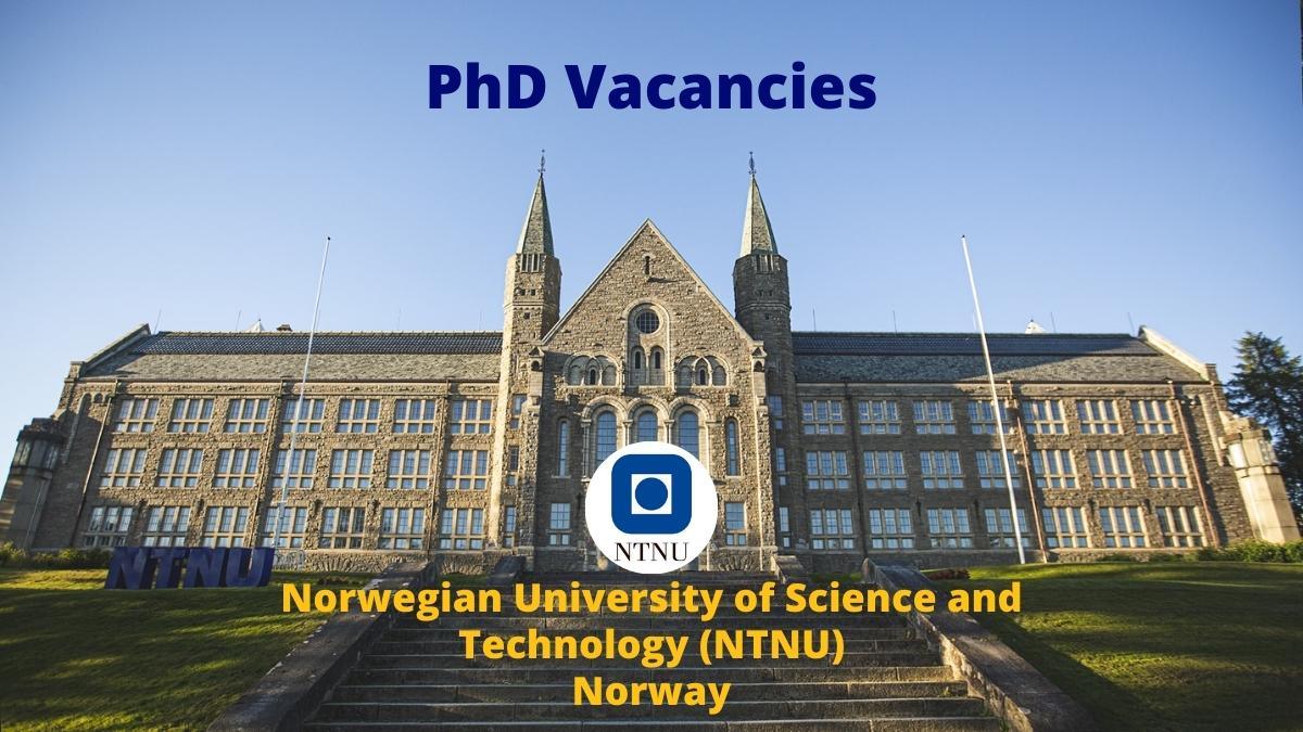 phd vacancies in education