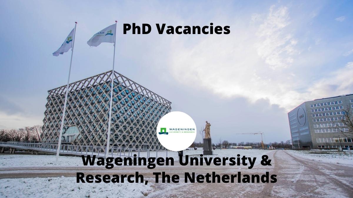 Phd Positions Vacancies Wageningen University