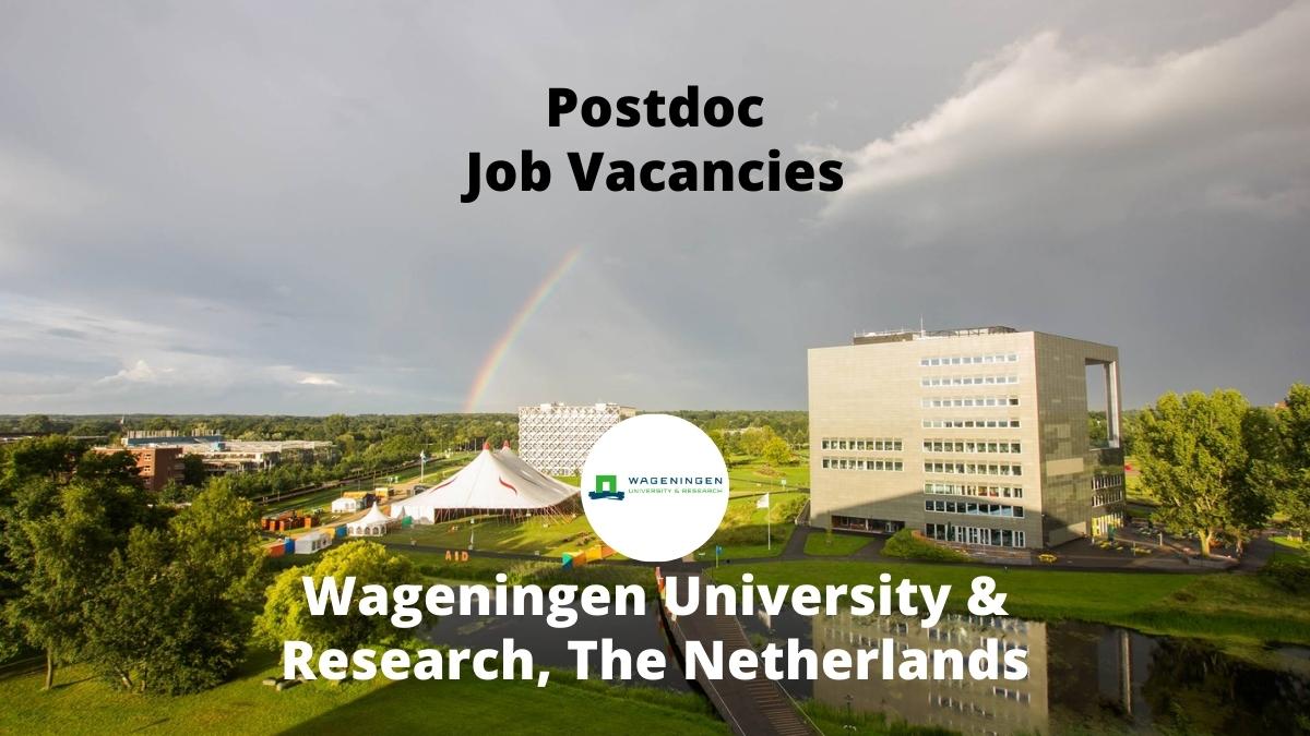 Postdoc Jobs Vacancies Wageningen University