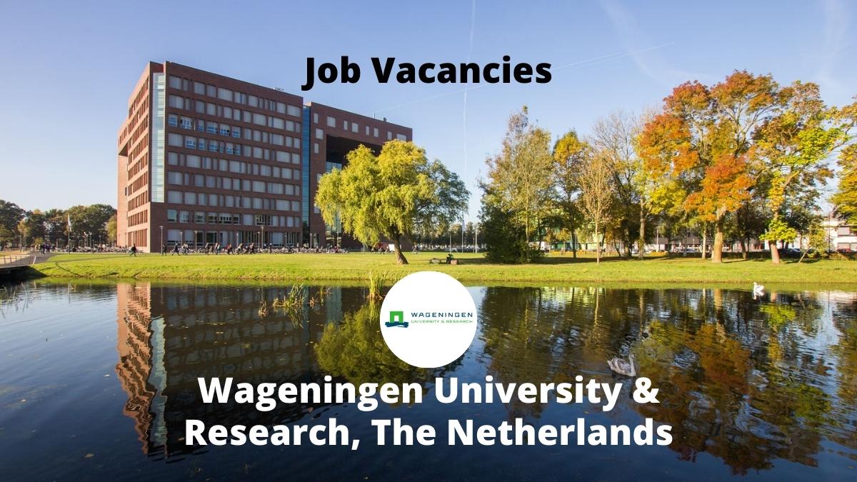 Wageningen University Jobs Vacancies