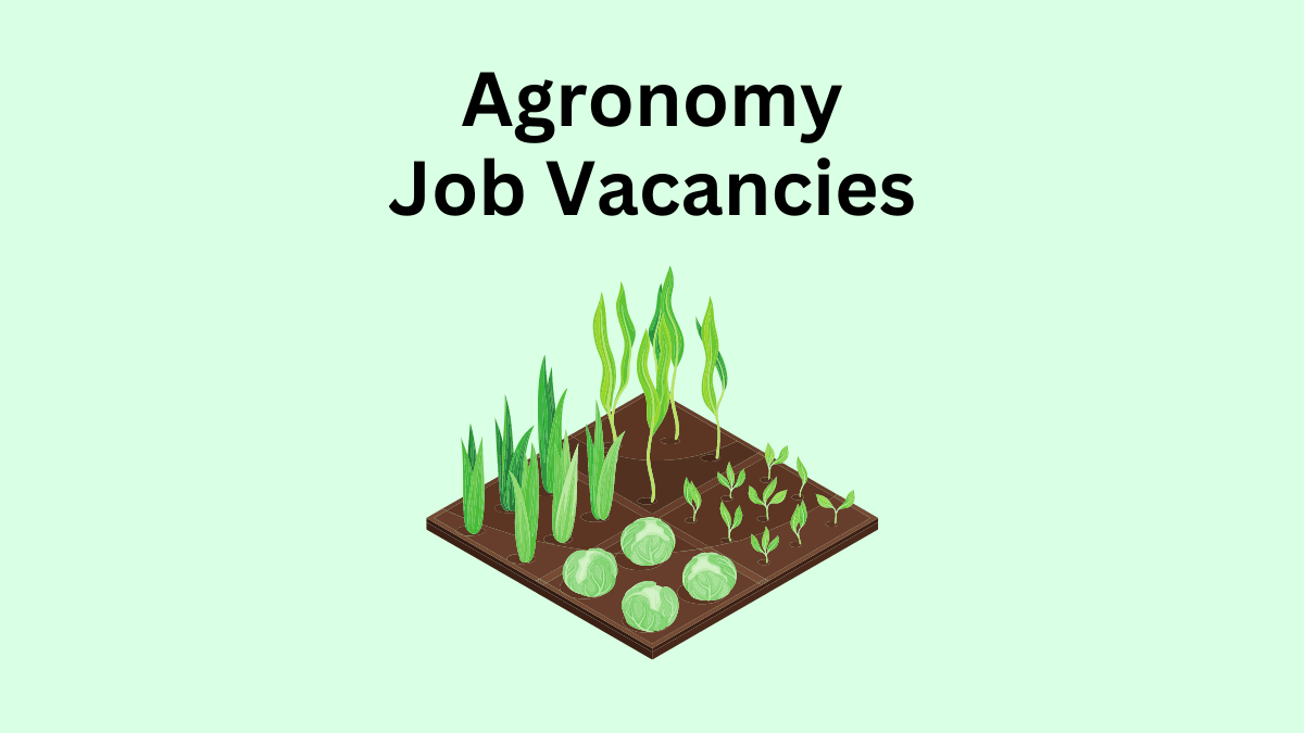 Agronomy Job Vacancies